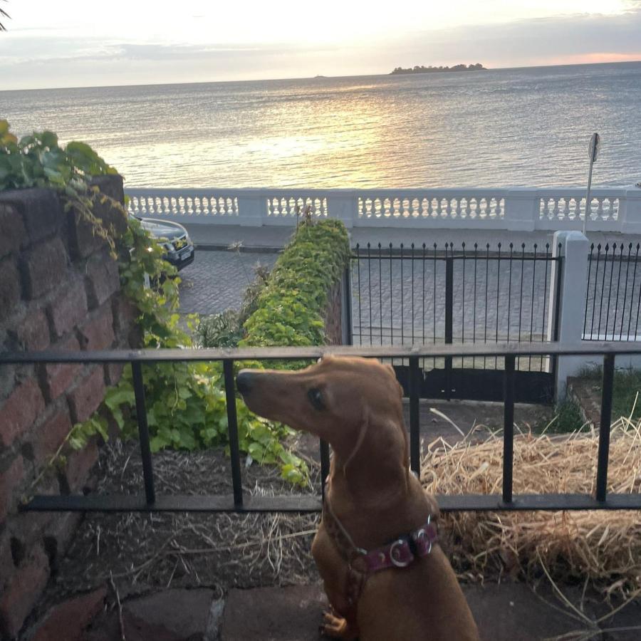 Terraza Sacramento - Atardecer En El Barrio Historico Villa Colonia del Sacramento Eksteriør billede